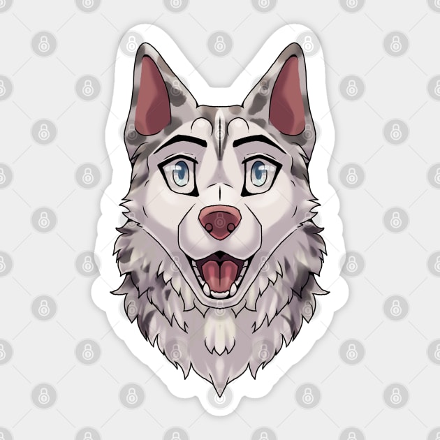 Blue merle husky outlet